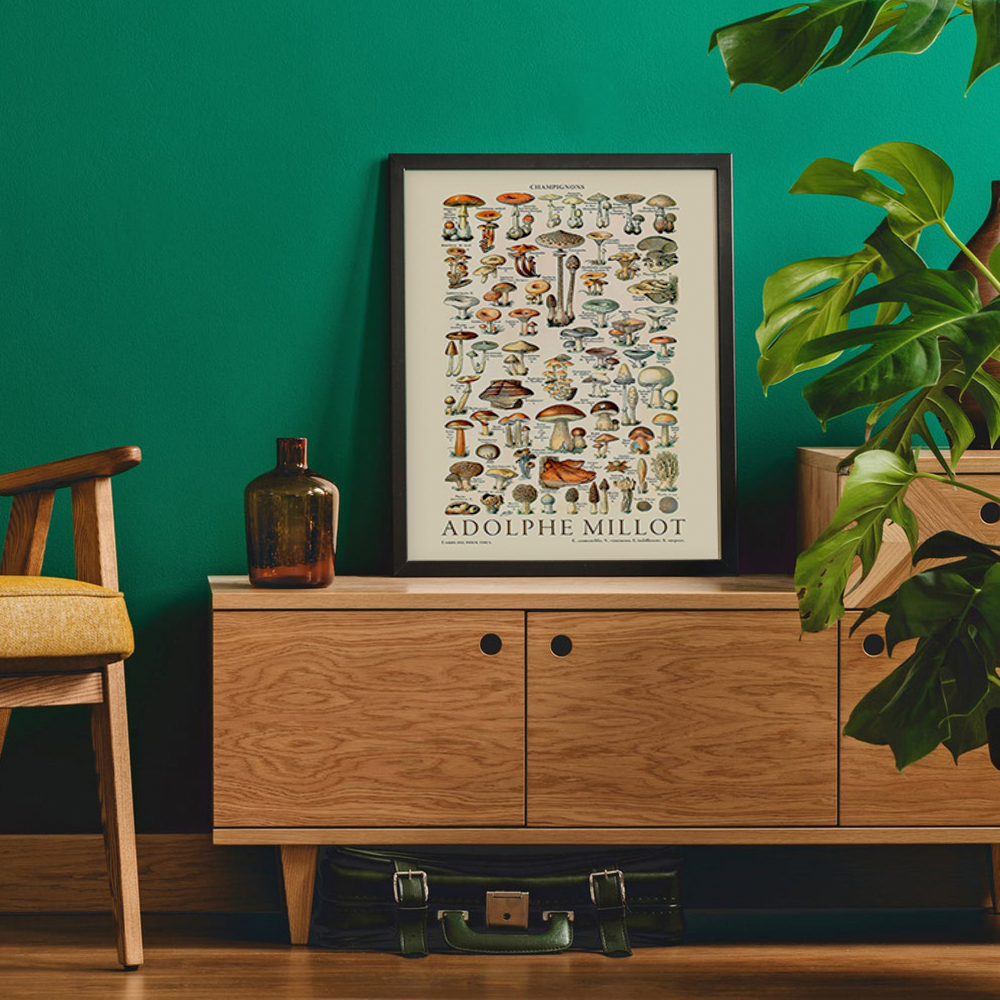 Adolphe Millot Ilustrações Vintage Poster Collection