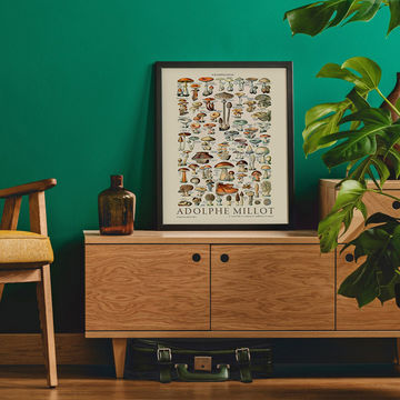 Adolphe Millot Ilustrações Vintage Poster Collection