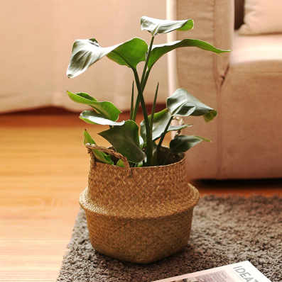 Flower Market Poster Collection - B - 60x90cm