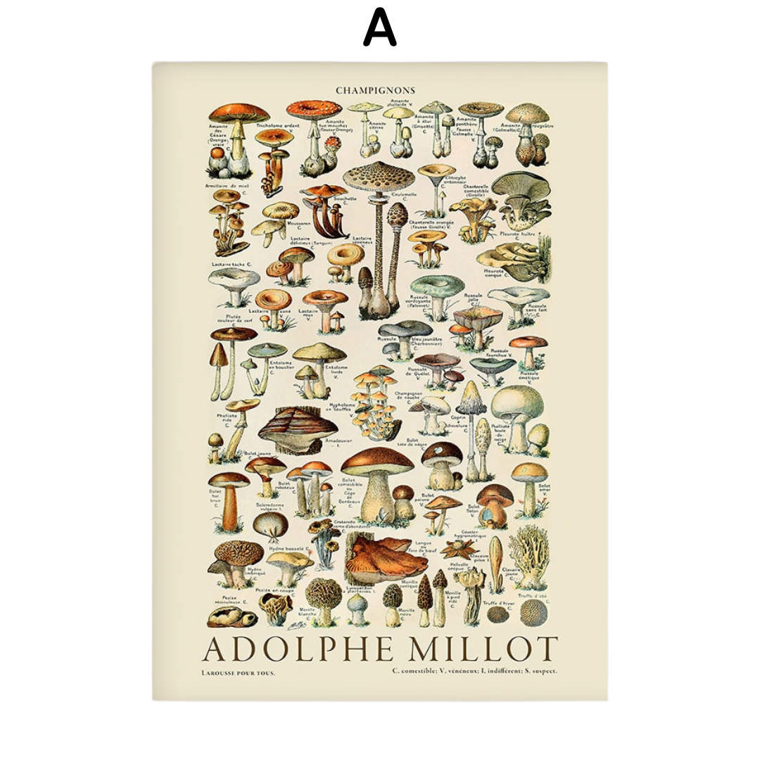 Kusama Patterns Poster Collection - H - A2 40x60cm