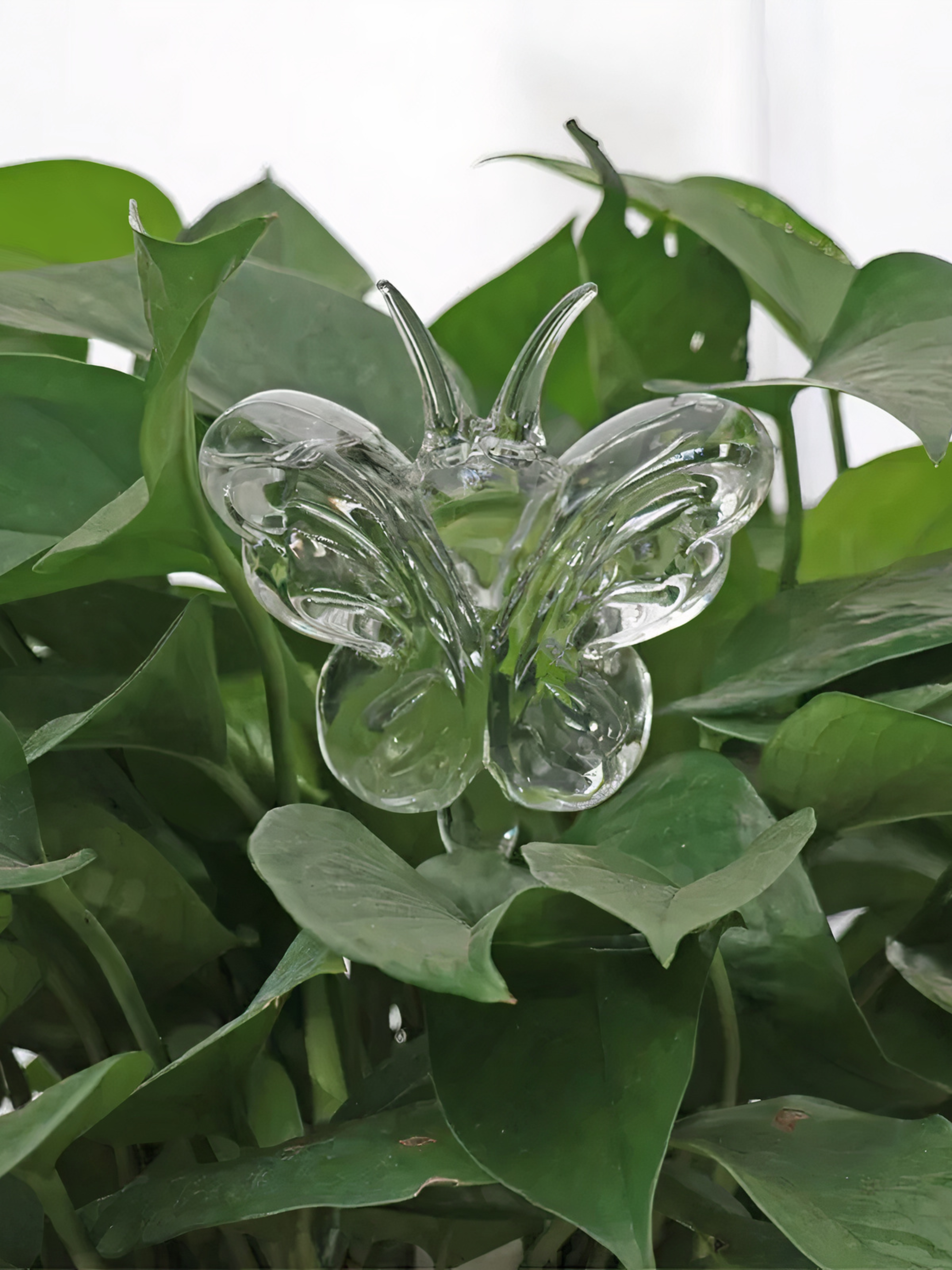 Food Market Poster Collection - F - 13x18cm