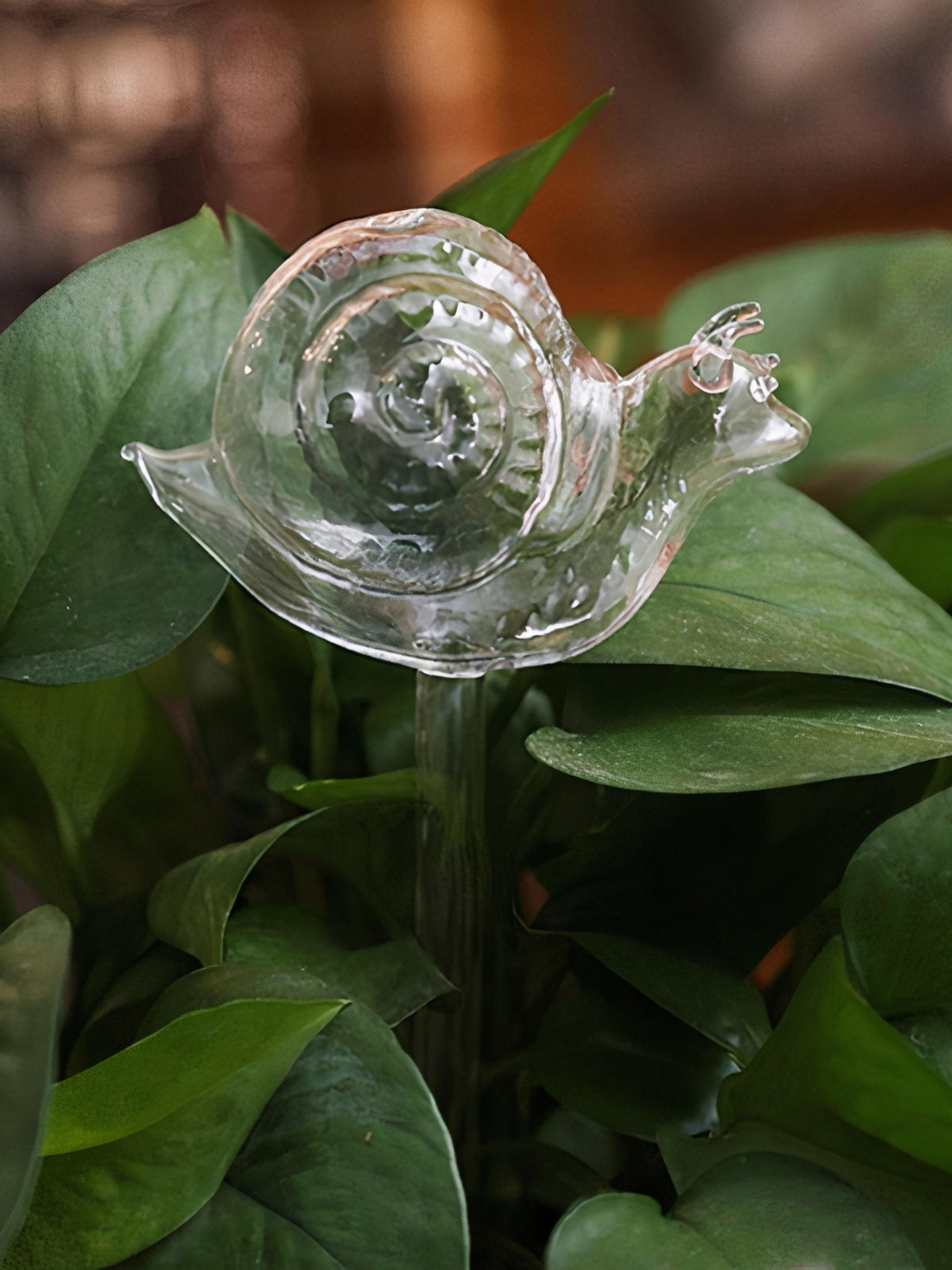 Food Market Poster Collection - F - 20x25cm