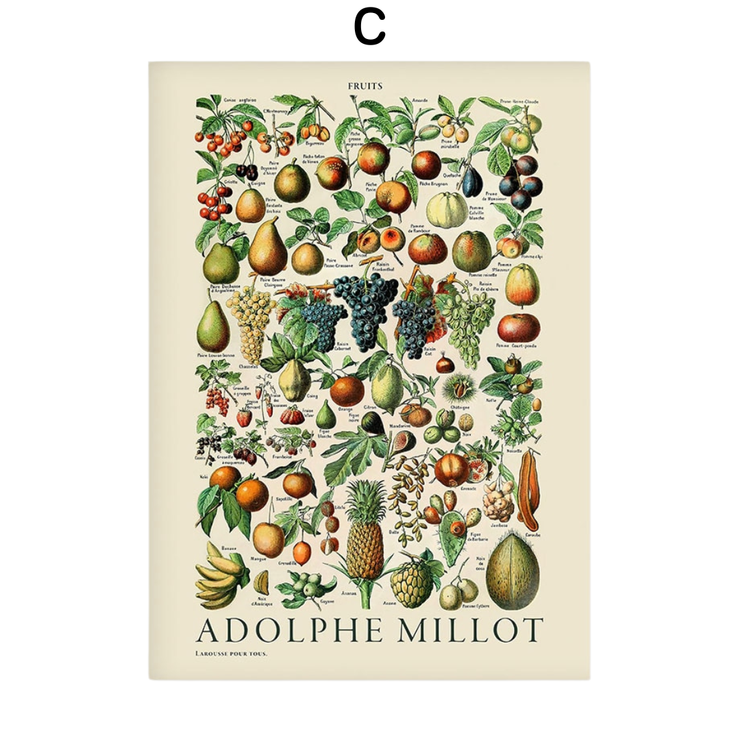 Kusama Patterns Poster Collection - J - A2 40x60cm