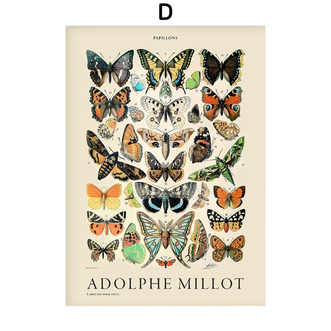 Kusama Patterns Poster Collection - A - 50x70cm