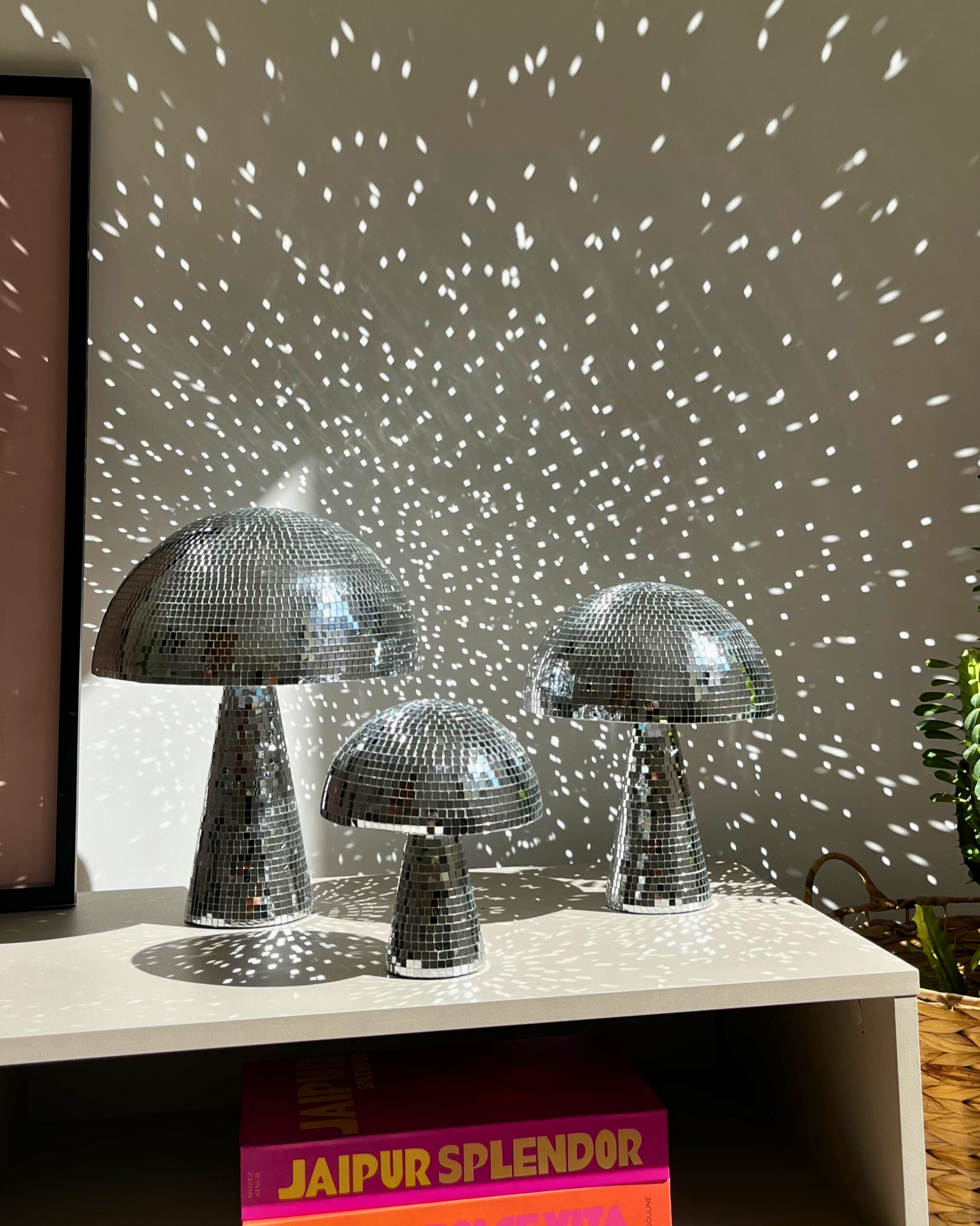 Mushroom Disco