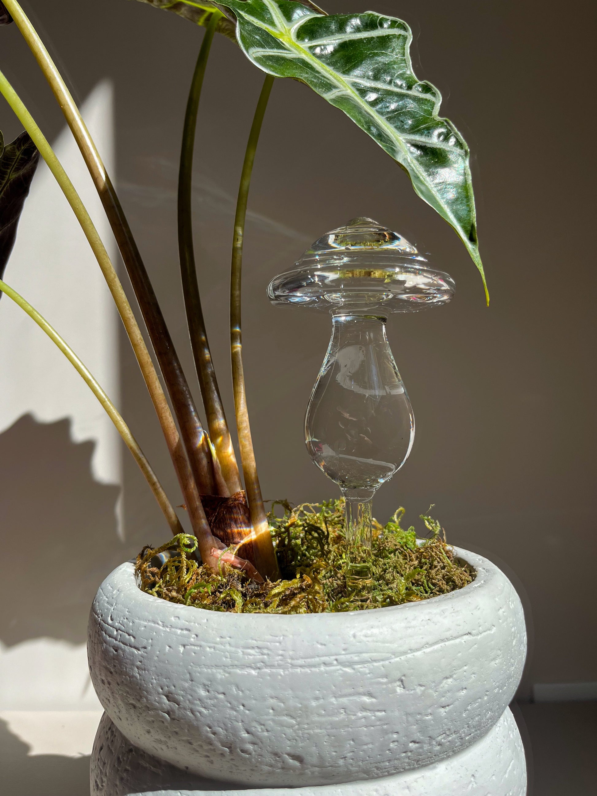 Food Market Poster Collection - E - 60x90cm