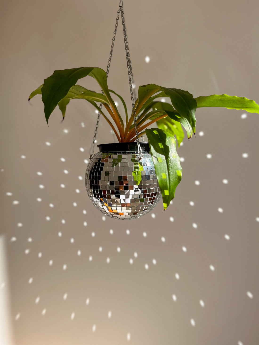 Disco Ball Hanging Planter