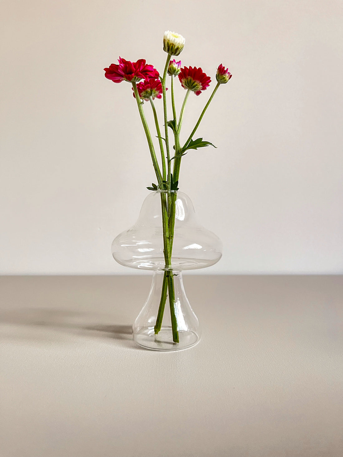 Mushroom Transparent Glass Vase