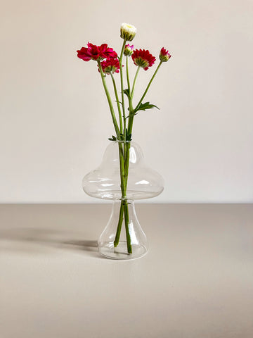 Mushroom Transparent Glass Vase